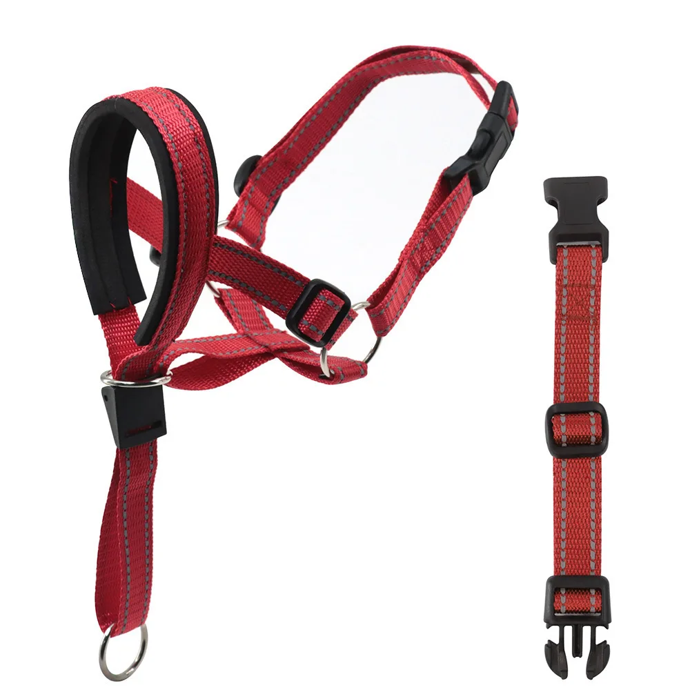 harnais pour chien en voiture