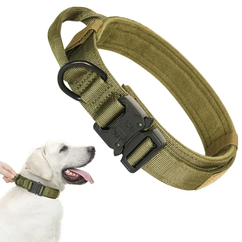 harnais militaire chien