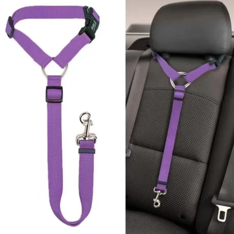 laisse sécurisée voiture chien