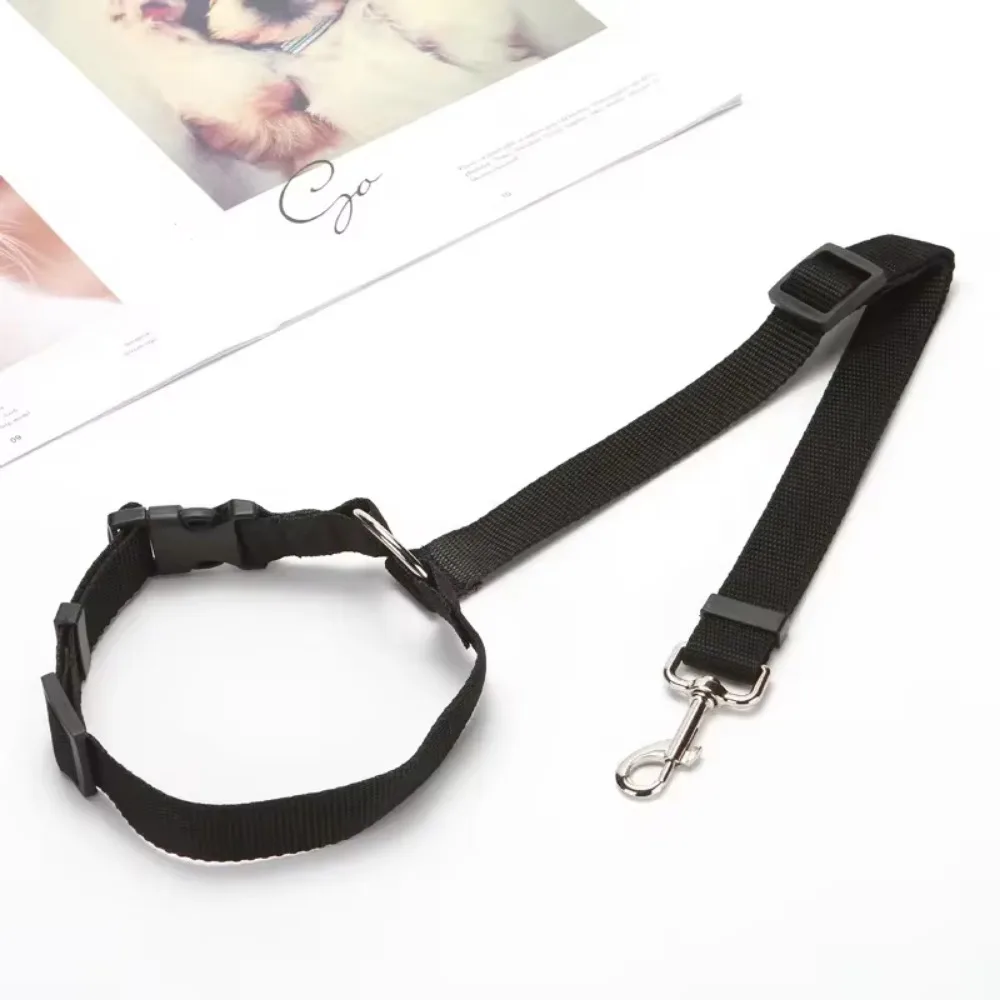 harnais sécurité chien voiture