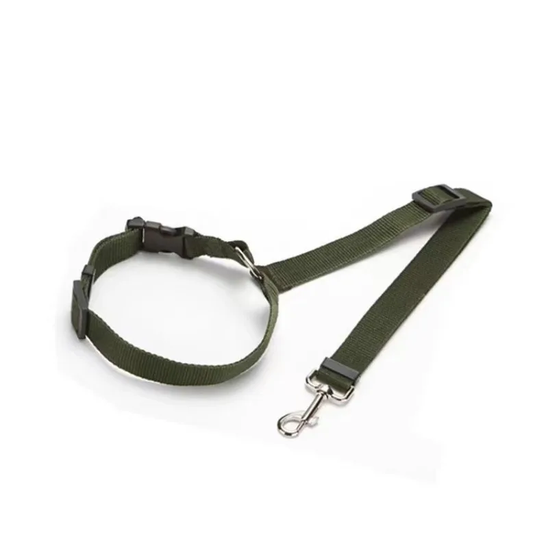 collier vert pour chien