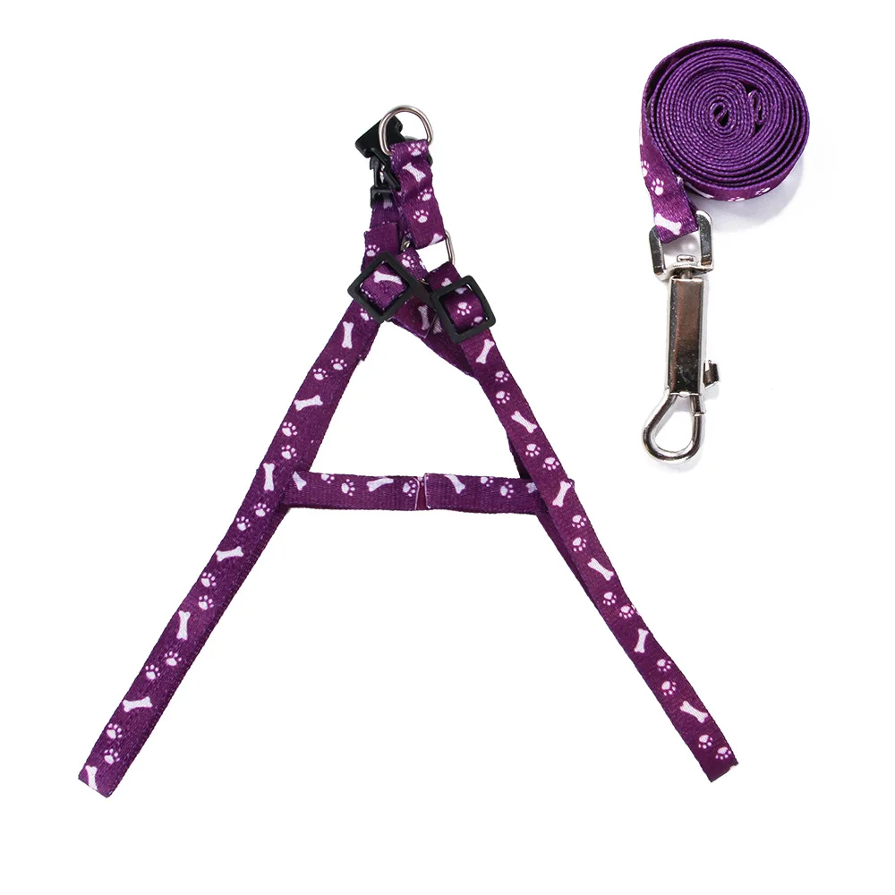 laisse violette pour chien