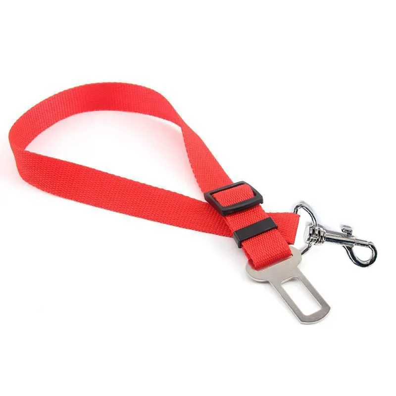 harnais pour voiture chien