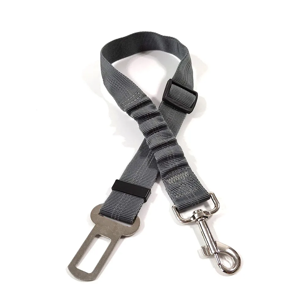 harnais de traction chien