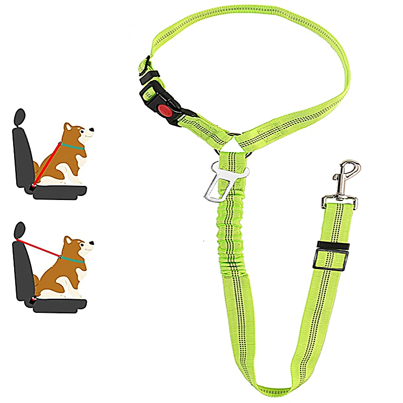 harnais voiture chien
