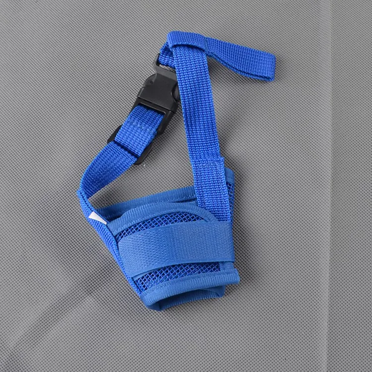 muselière bleue pour chien