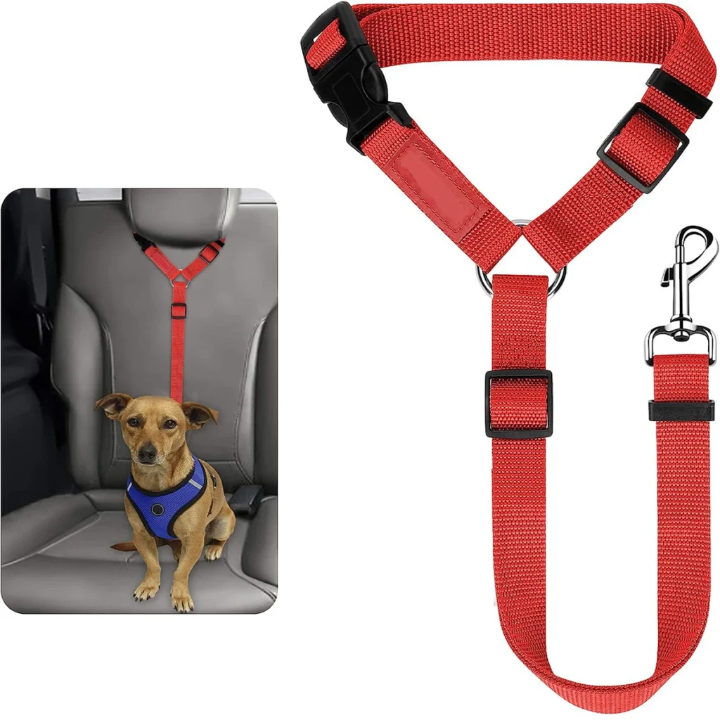 harnais de voyage pour chien