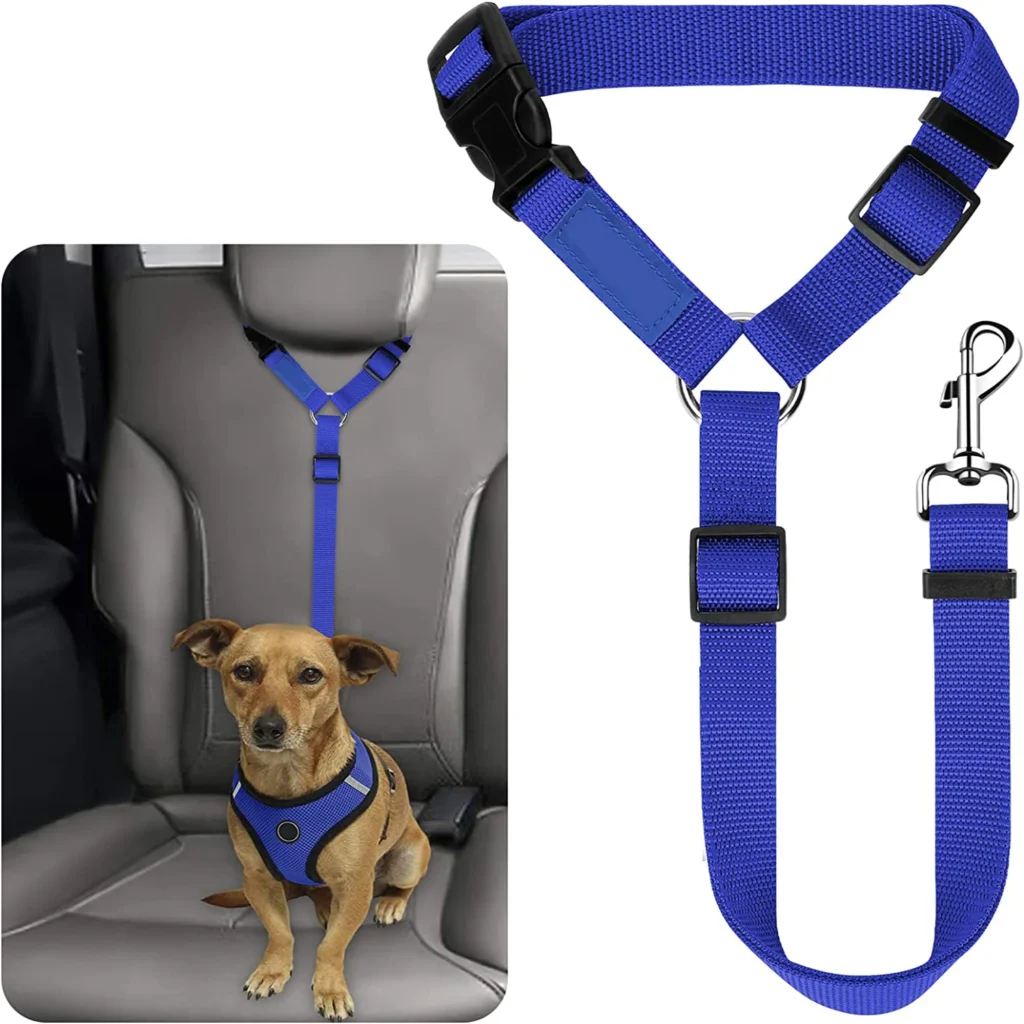 ceinture de sécurité pour chien