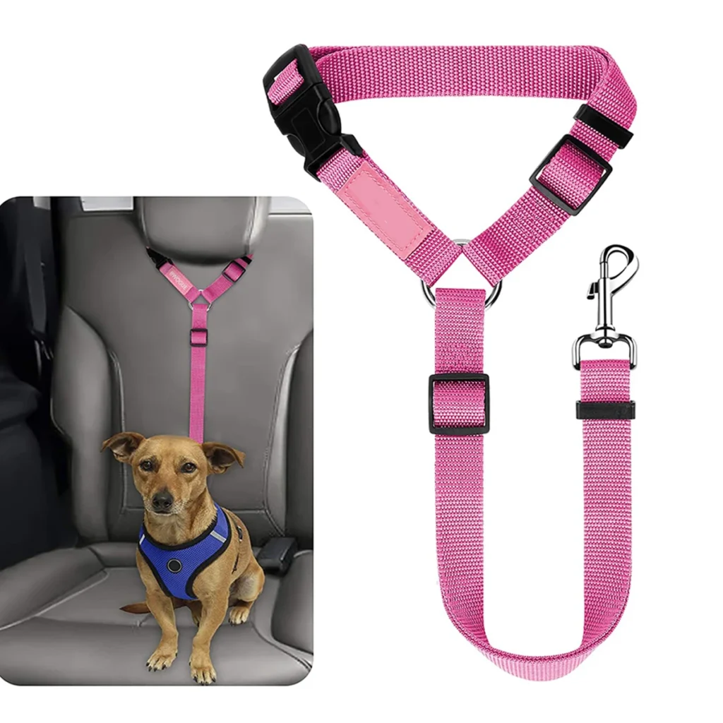 harnais rose pour chien en voiture