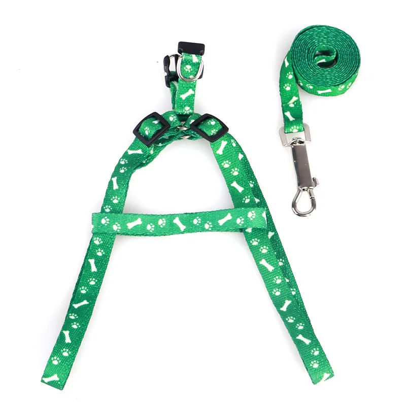 ensemble harnais et laisse verte pour chien