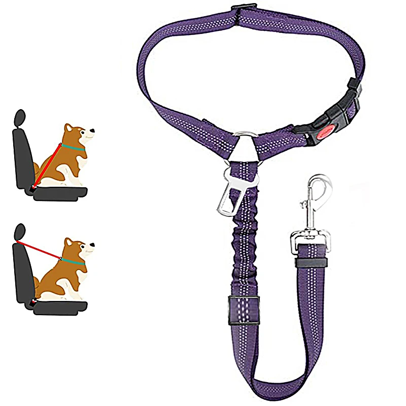 harnais pour chien voiture