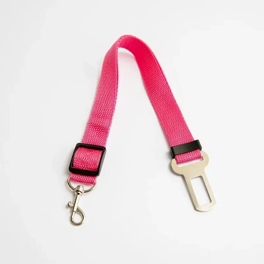 harnais pour chien voiture