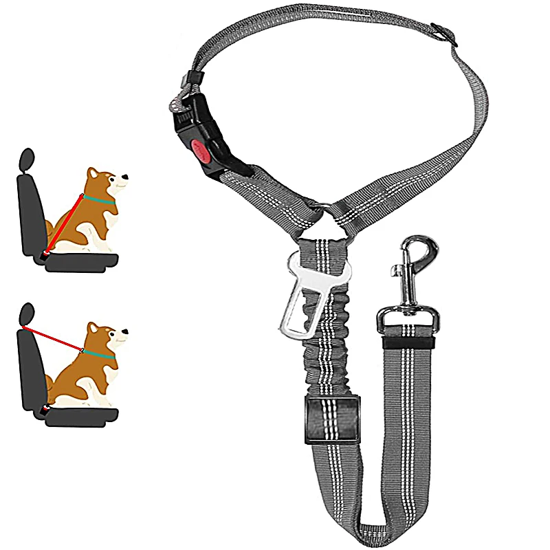 harnais pour chien voiture