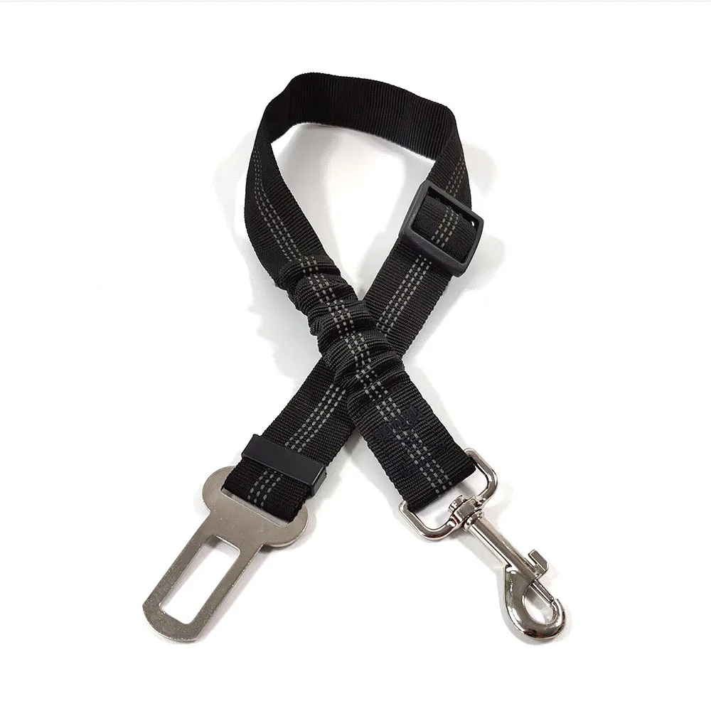harnais pour chiens