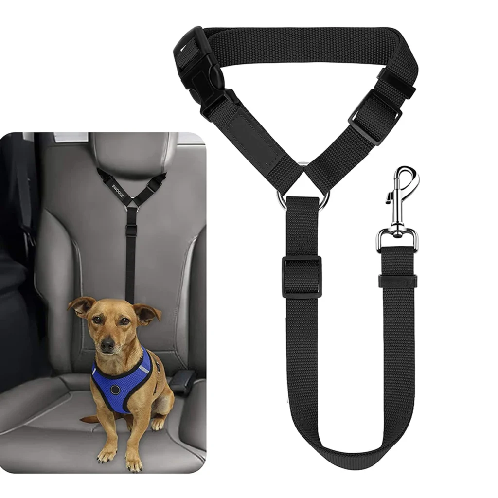 système de sécurité pour chien en voiture