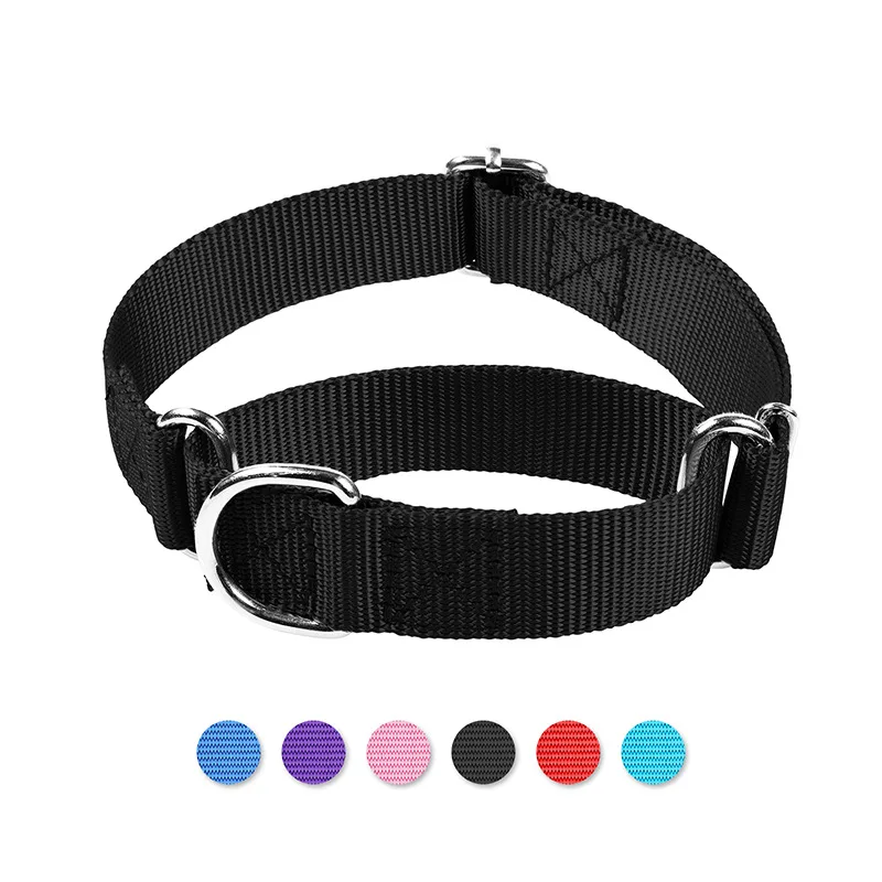 harnais de sécurité pour chien