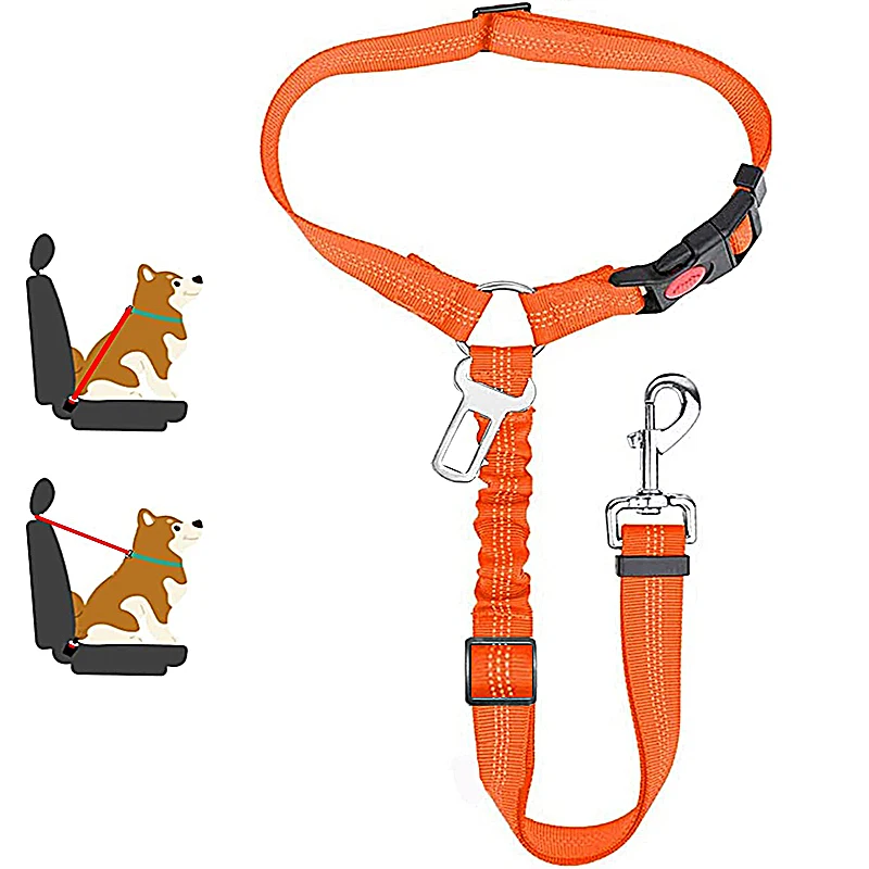 harnais pour voiture chien
