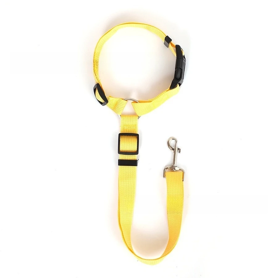 collier jaune pour chien