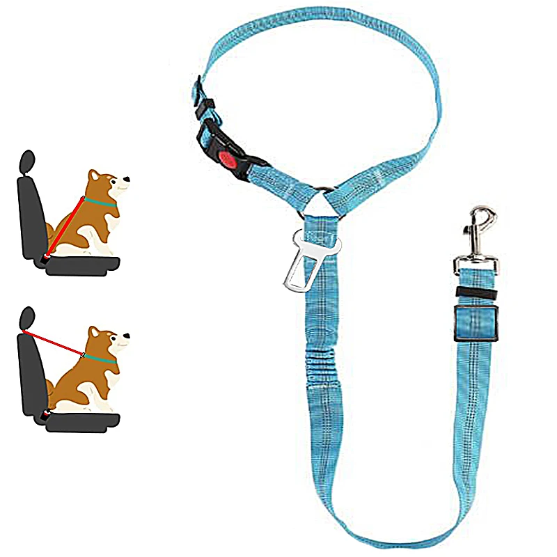 harnais voiture chien
