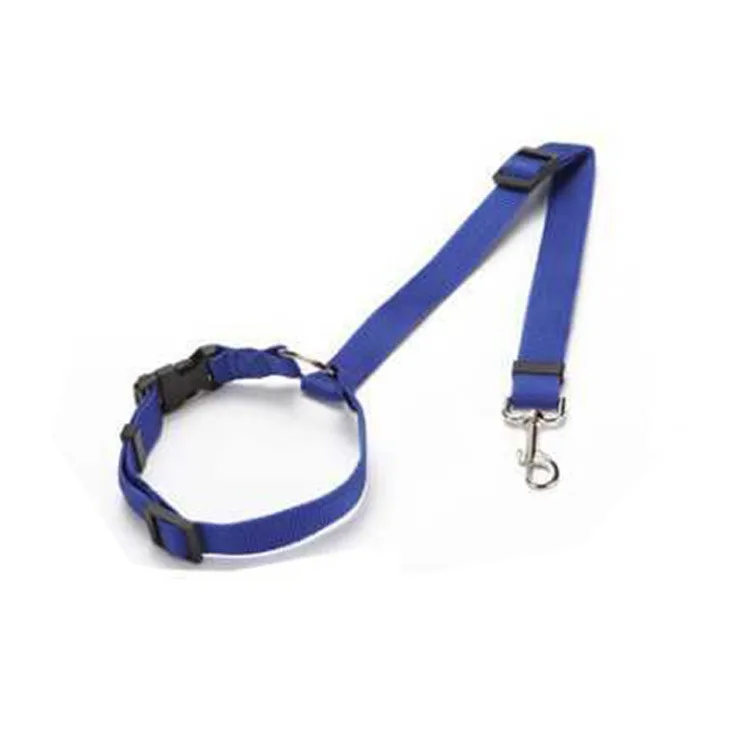 laisse bleue pour chien avec boucle