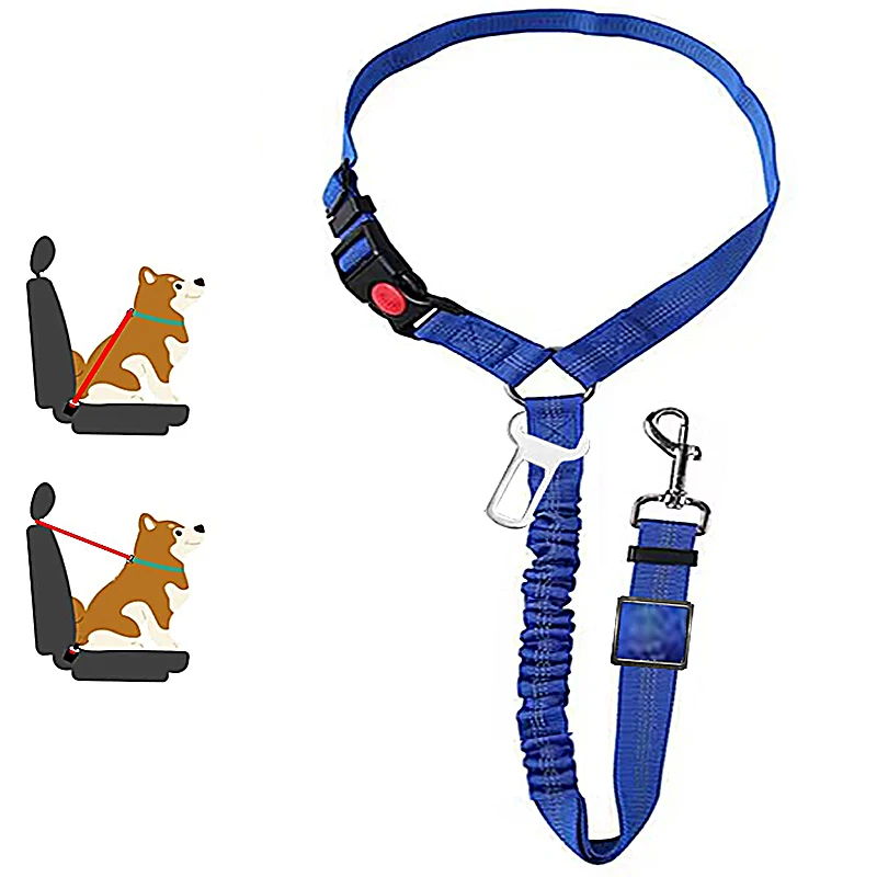harnais chien voiture