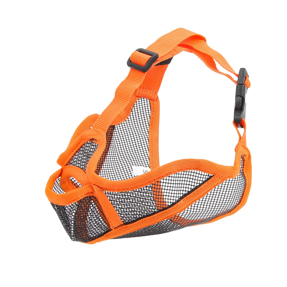 muselière orange pour chien