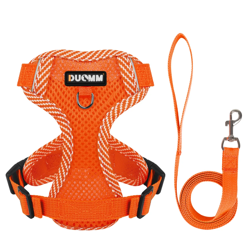harnais orange pour chien
